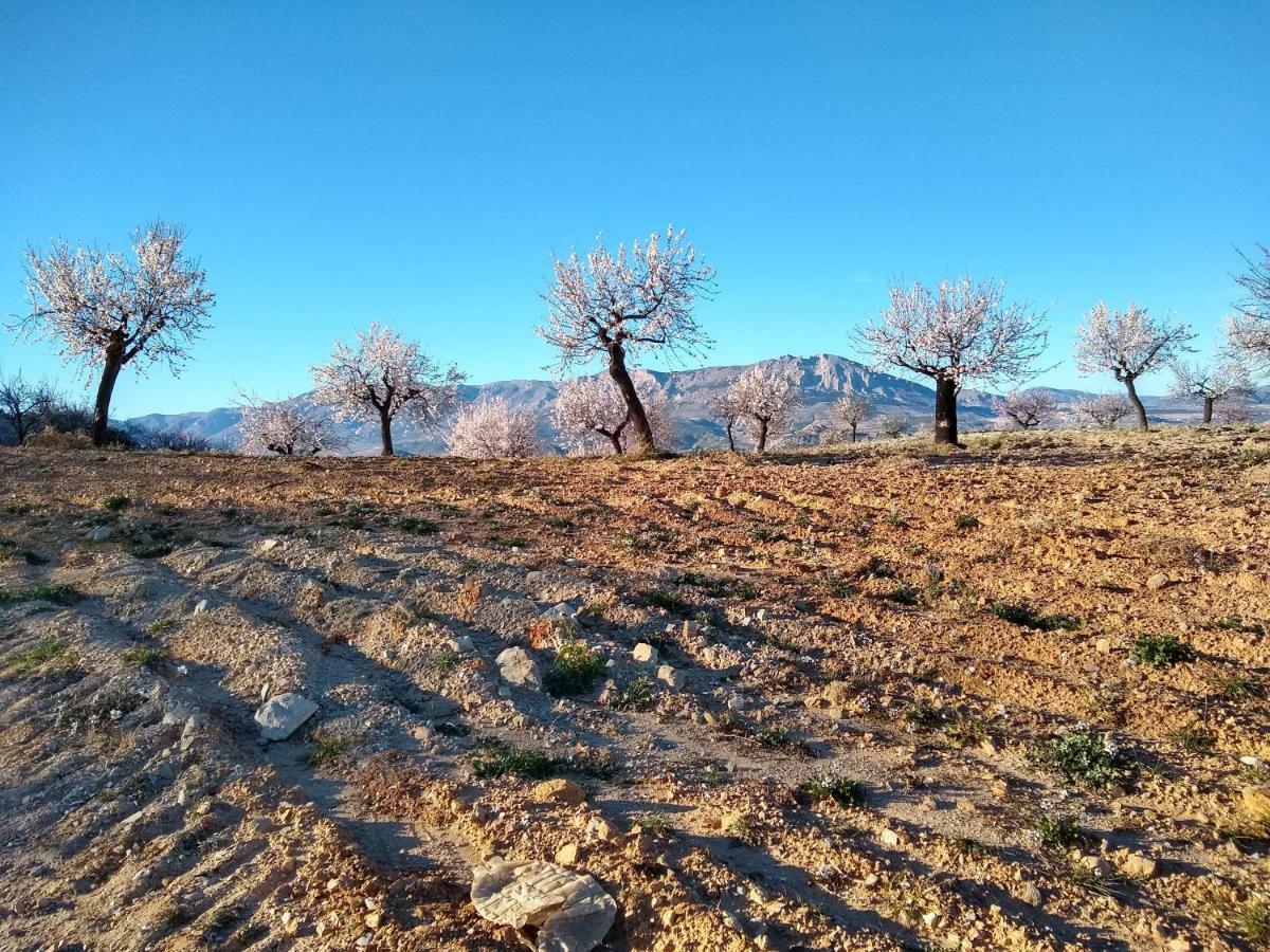 Vélez RubioCortijo La Estrellaアパートメント エクステリア 写真